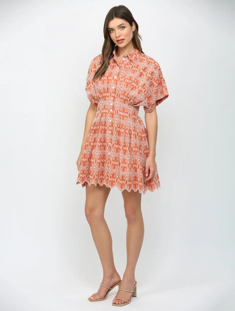 Embroidered Scallop Hem Button Down Mini Dress - Image 2